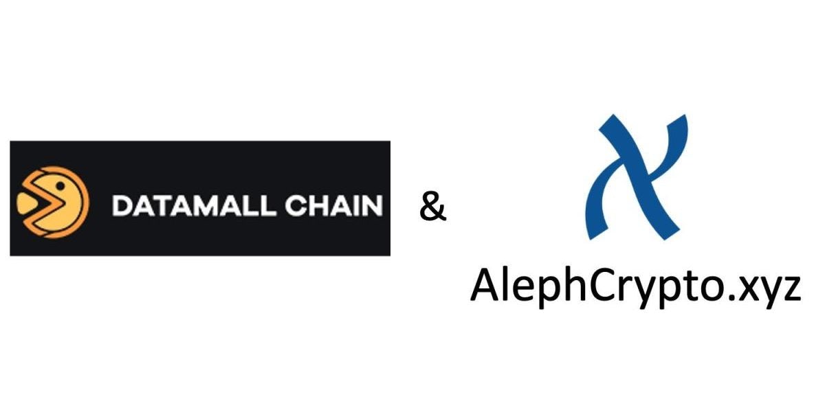 揭秘Datamall Chain（DMC）基金会背后以太坊核心基金会AlephCrypto.xyz