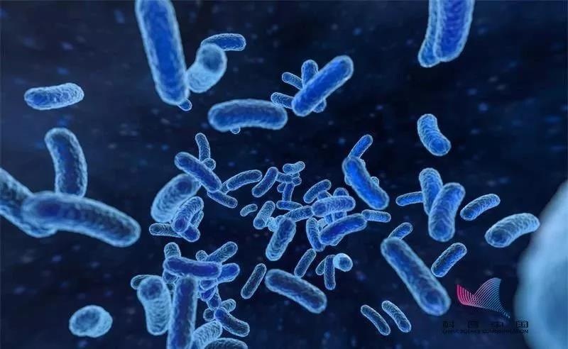 细菌感染,服用被细菌(常见细菌有霍乱弧菌,菌痢杆菌,伤寒杆菌,沙门氏