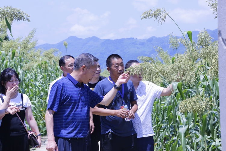 微信图片_20190807155526.jpg