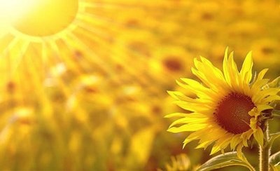 苏哲论币 7.25震荡行情你该怎么办，震荡行情做单技巧
