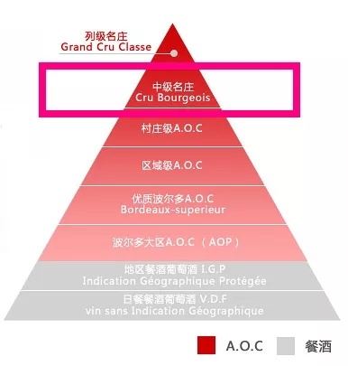 640 (3).webp (11).jpg