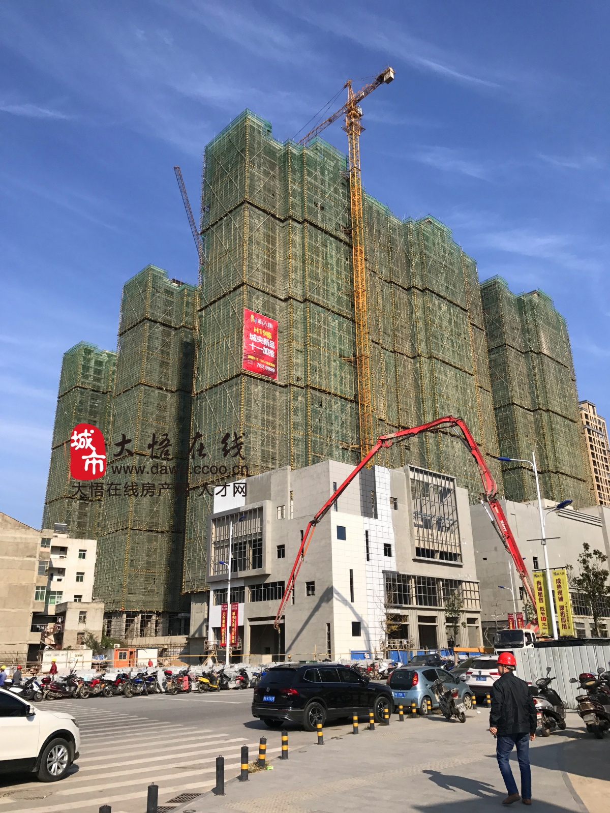 大悟新天地