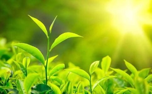 萧梦评币：8.22投资者的重要法宝