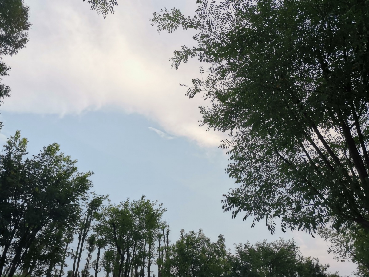 天空 (24).jpg 天空 (24).jpg