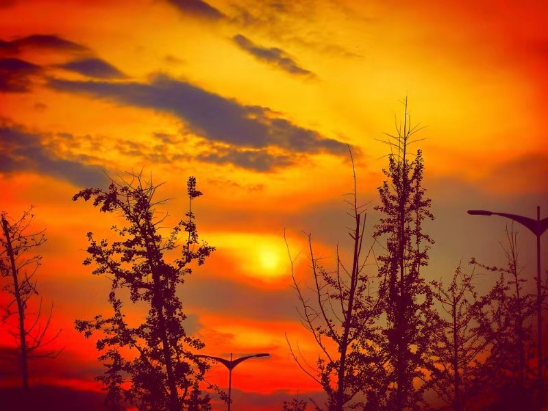 mmexport1568462513041.jpg mmexport1568462513041.jpg