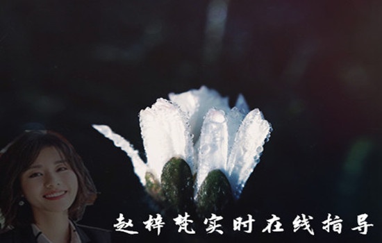 Zhao Zifan:9.19黄金暴涨暴跌如何操作？空单被套套多单怎么办？59 / author:Zhao Zifan / PostsID:1481502