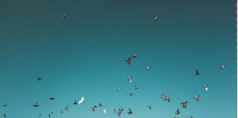 微信截圖_20191203220620.png 微信截圖_20191203220620.png