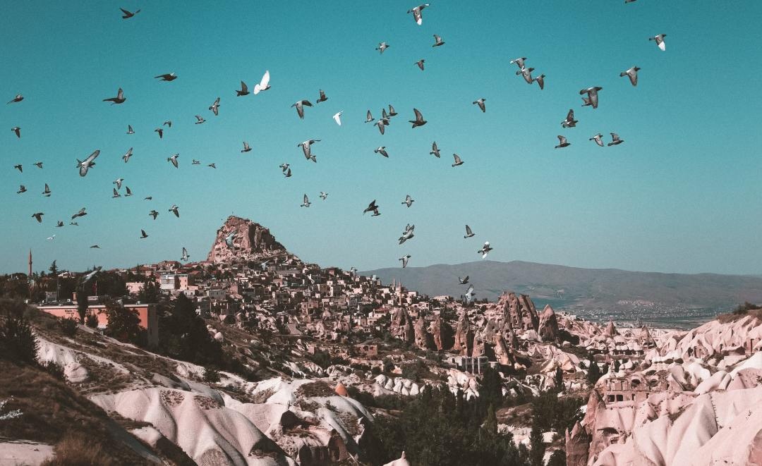 d0523b062bafbd405a345f9c8284194b-sz_5308444.jpg d0523b062bafbd405a345f9c8284194b-sz_5308444.jpg