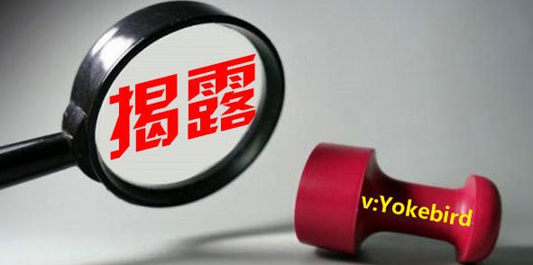 15680963297545_副本.jpg