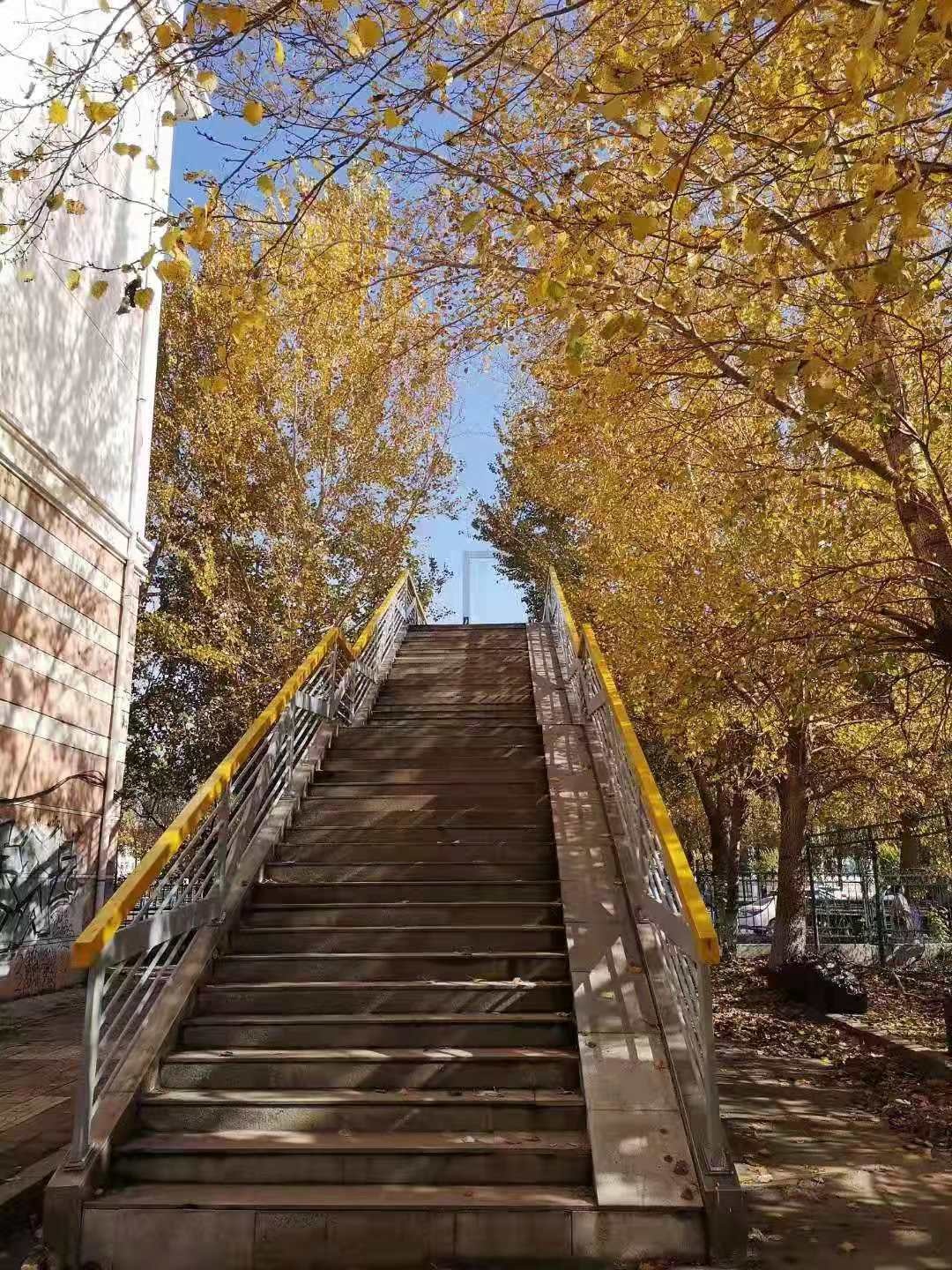 微信圖片_20191129230908.jpg 微信圖片_20191129230908.jpg