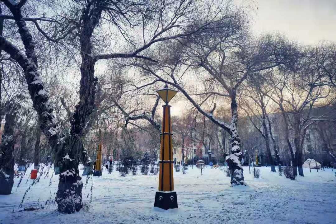 微信圖片_20191129232611.jpg 微信圖片_20191129232611.jpg