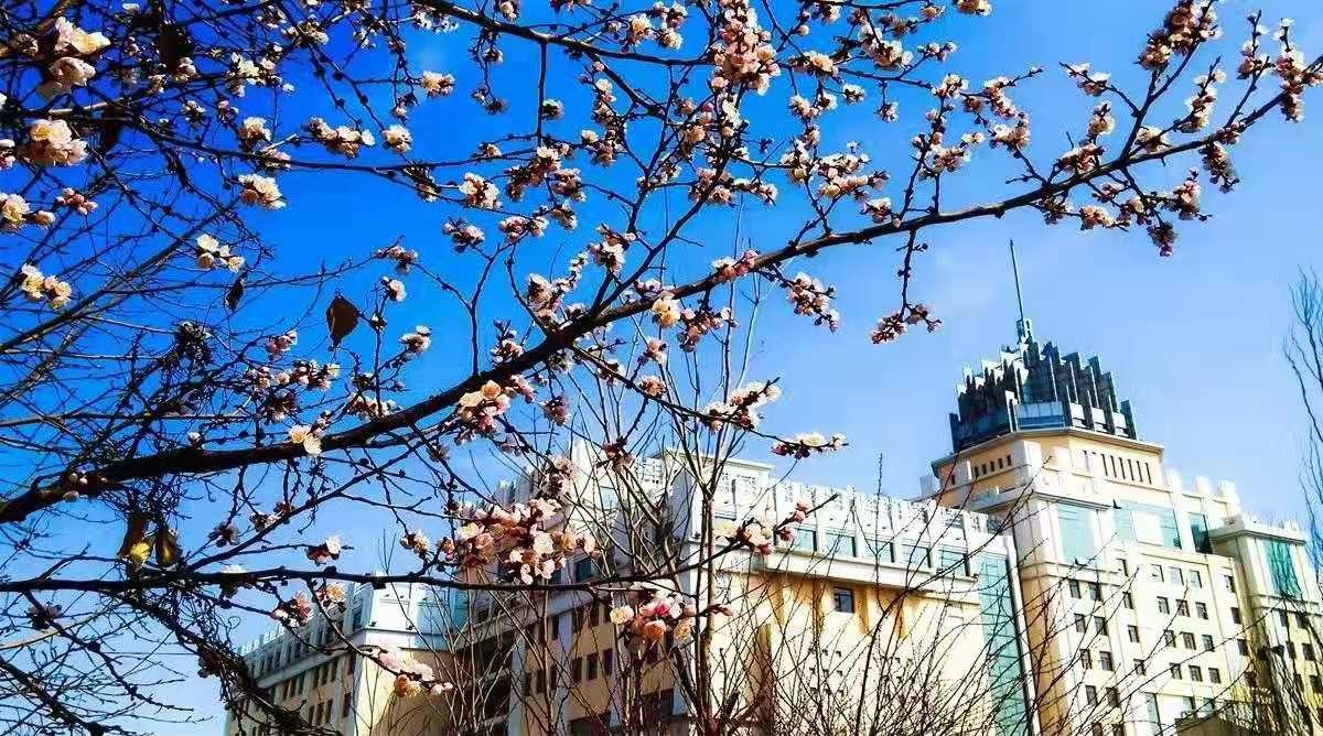 微信圖片_20191129232331.jpg 微信圖片_20191129232331.jpg