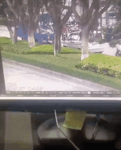 1.gif