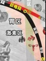 微信图片_20191129110350.jpg