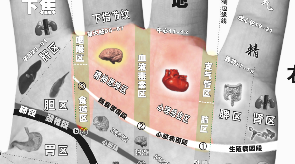 ΢ͼƬ_20191129163454.png