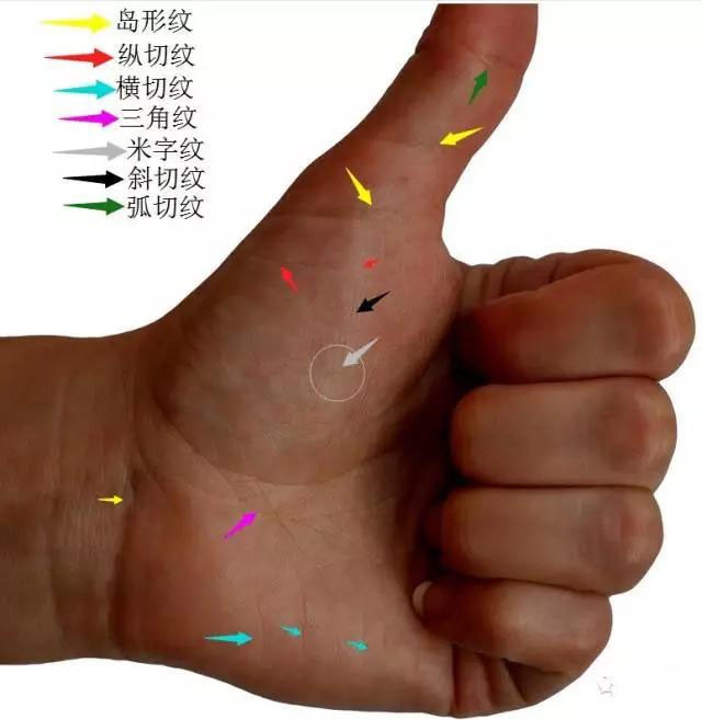 ΢ͼƬ_20191130150441.jpg