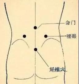 b5.jpg