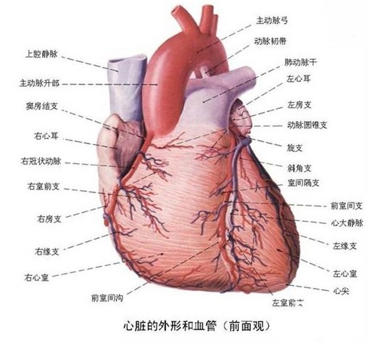 微信图片_20191129145328.jpg