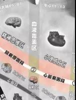 微信图片_20191129113649.jpg