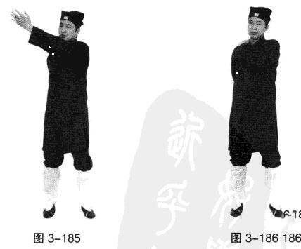 186.jpg