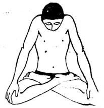 1-1P61QJ430560.jpg