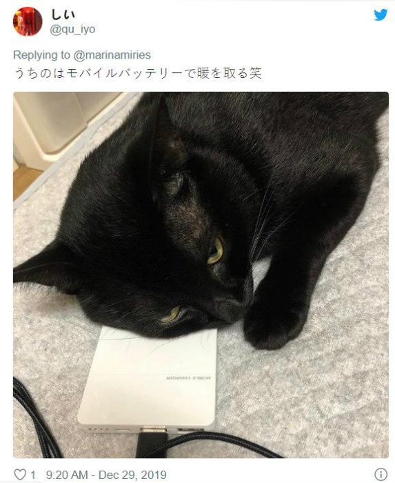 khsgnk (8).jpg