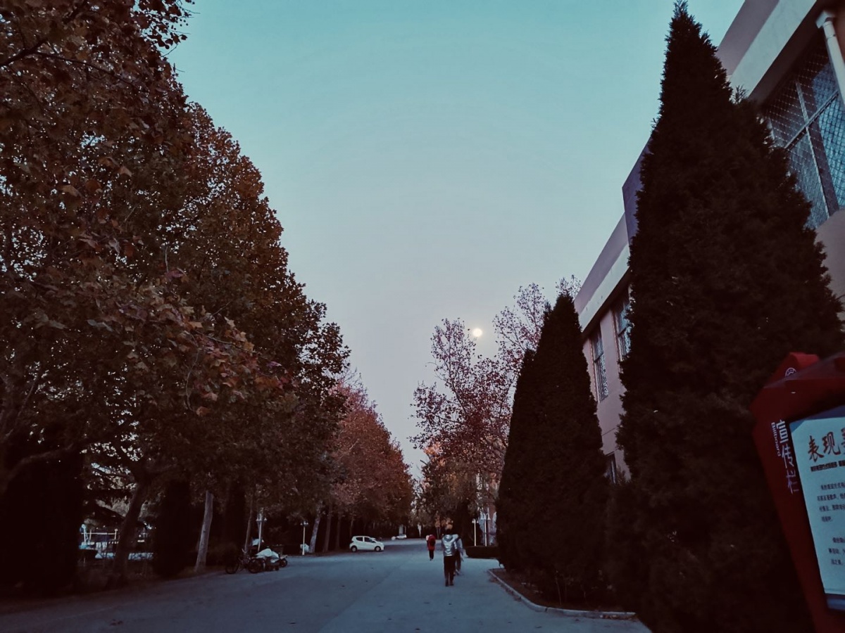 grey.gif
