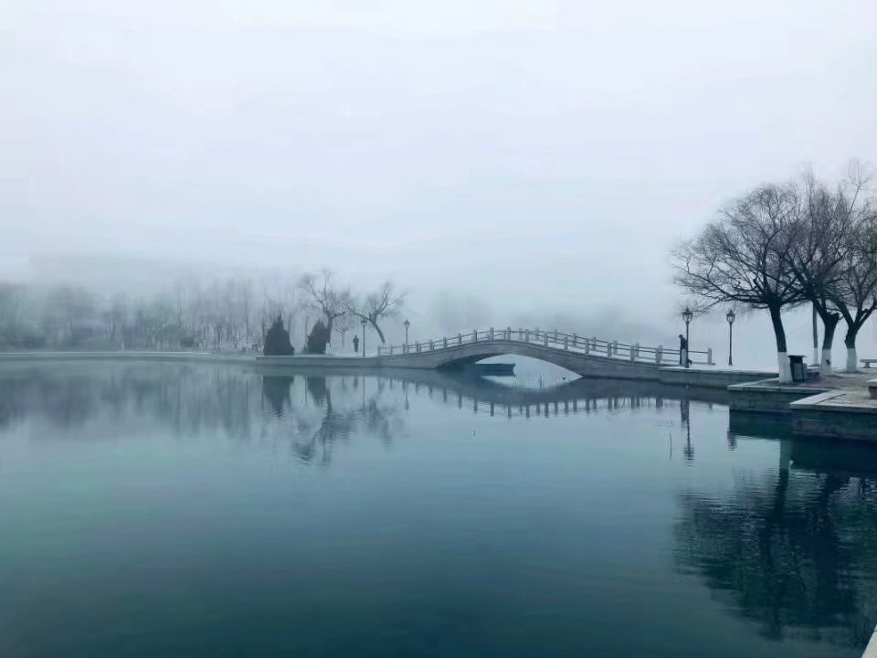 1552227654232.jpeg