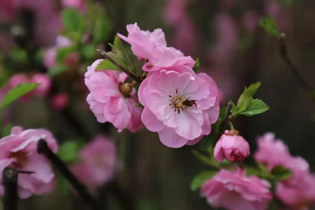 微信圖片_20191124132144.jpg 微信圖片_20191124132144.jpg