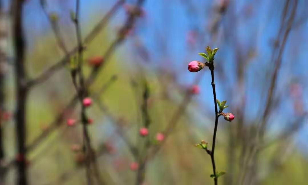 微信圖片_20191124134519.jpg 微信圖片_20191124134519.jpg