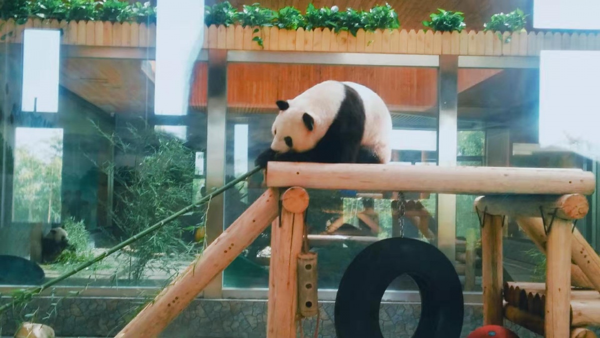 微信圖片_20191124131546.jpg 微信圖片_20191124131546.jpg