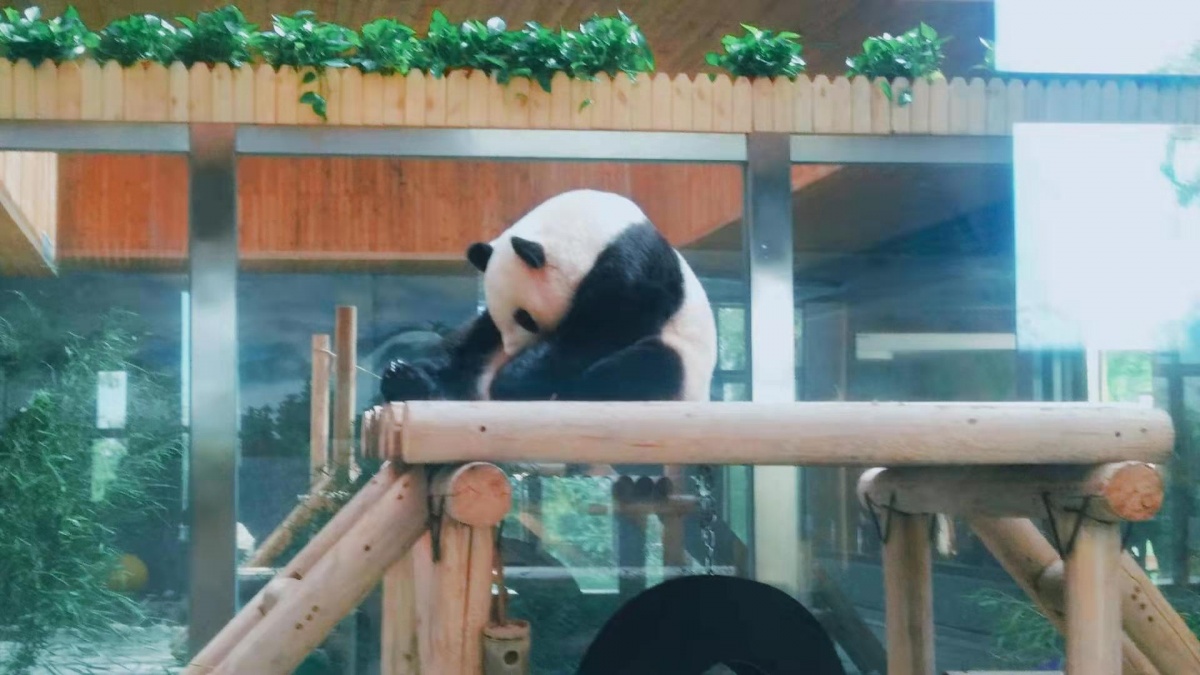 微信圖片_20191124131604.jpg 微信圖片_20191124131604.jpg