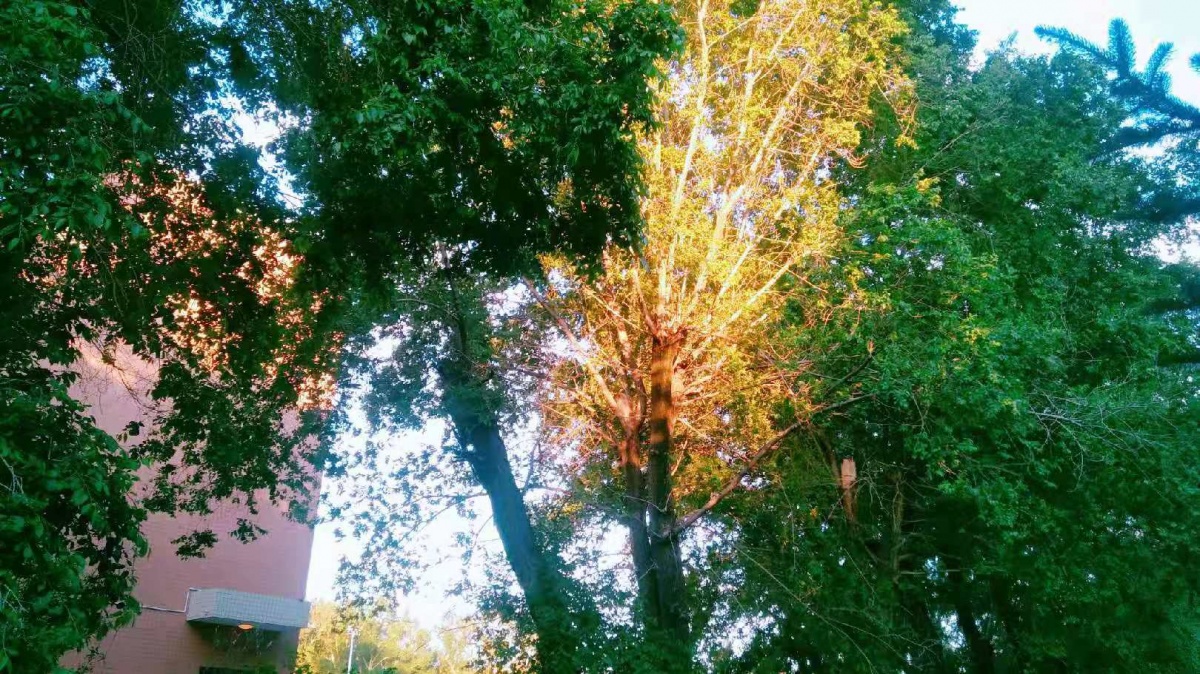 微信圖片_20191124131648.jpg 微信圖片_20191124131648.jpg