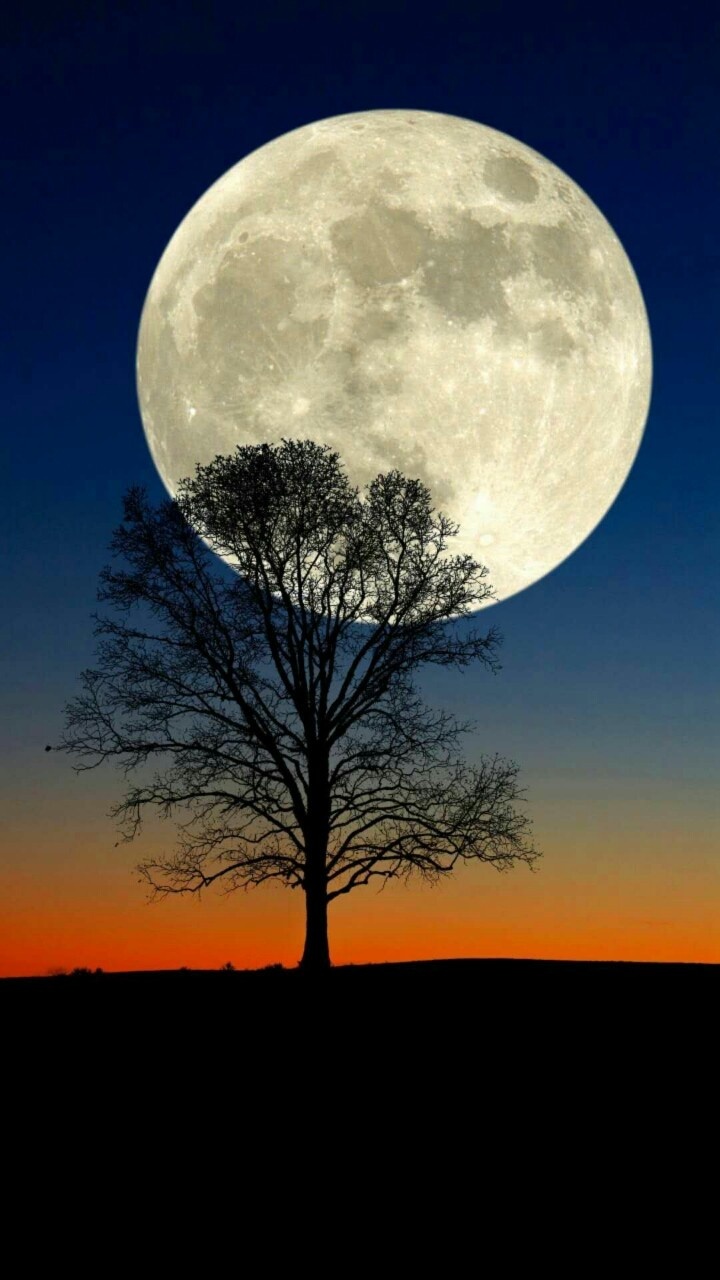 微信圖片_20191201122000.jpg 微信圖片_20191201122000.jpg