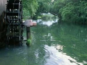 微信圖片_20191201112829.jpg 微信圖片_20191201112829.jpg