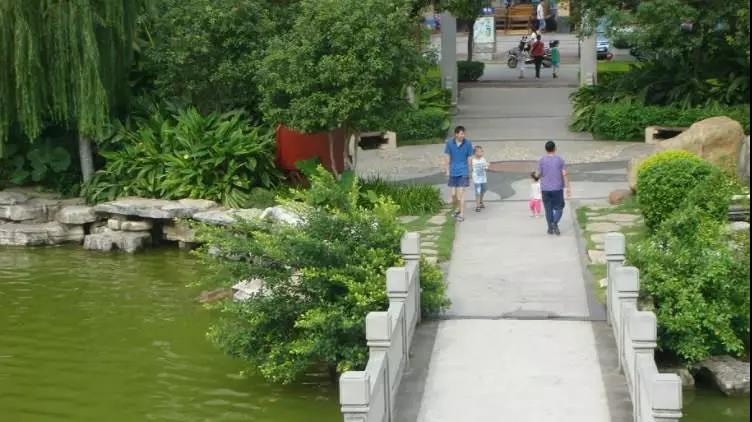 微信圖片_20190617095644.jpg