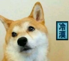 冷漠.jpeg
