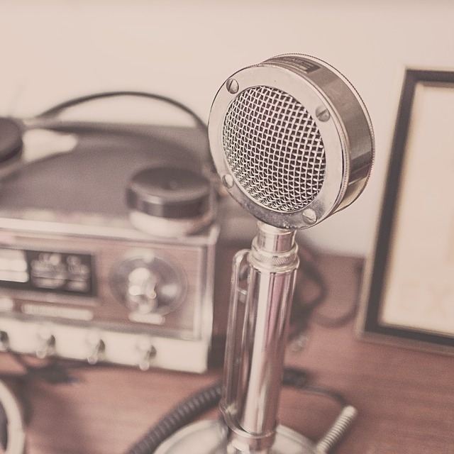 microphone-2627991_960_720.jpg