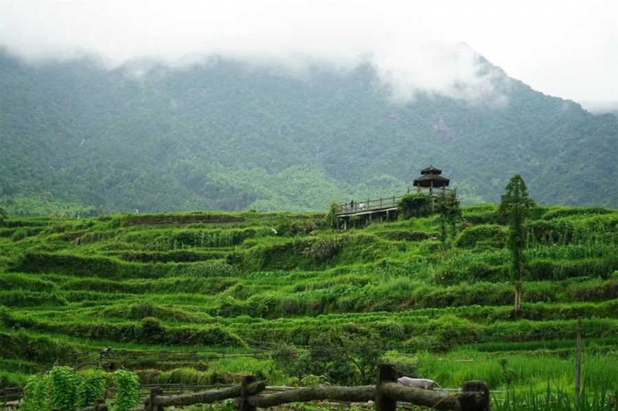 【青田旅游】青田龙现村:站在时空以外对话 热点 丽水在线丽水本地视频新闻综合门户网站