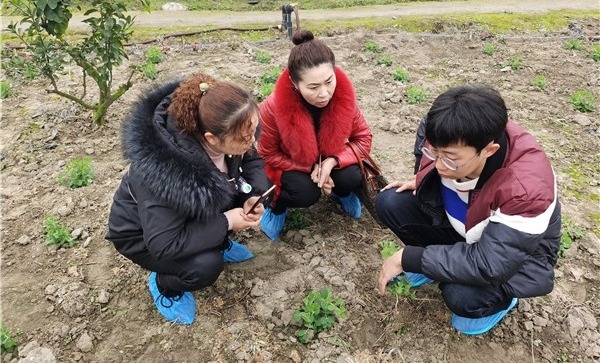 微信图片_201912090912302.jpg 微信图片_201912090912302.jpg