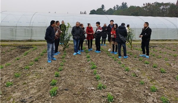 微信图片_201912090912303.jpg 微信图片_201912090912303.jpg