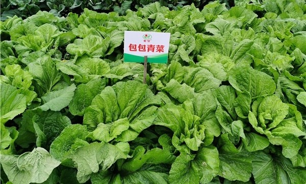 微信图片_2019120909122971.jpg 微信图片_2019120909122971.jpg