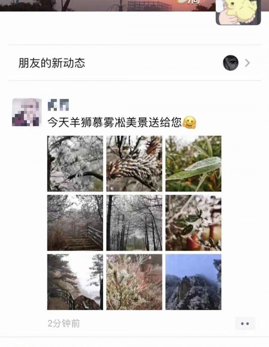 503d41a7b9cd5dbedcb0e331a424842.jpg 503d41a7b9cd5dbedcb0e331a424842.jpg