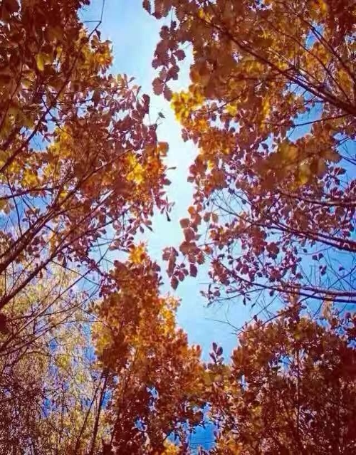 微信圖片_20191129230008.jpg 微信圖片_20191129230008.jpg