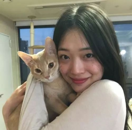 雪莉疑似留下遗书,内容曝光有些人慌了,雪莉的真正死因是什么?-97资源博客 雪莉疑似留下遗书,内容曝光有些人慌了,雪莉的真正死因是什么?-97资源博客